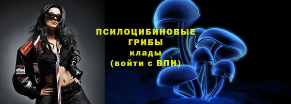 не бодяженный Инсар