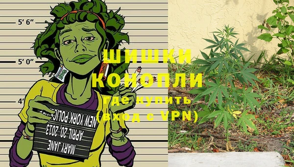 не бодяженный Инсар