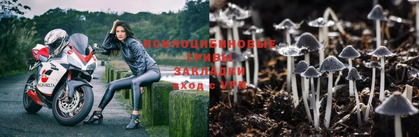марки nbome Инта
