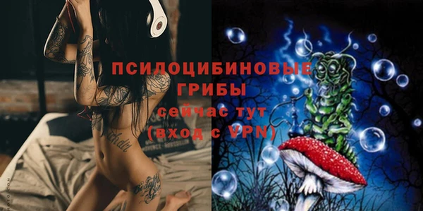 не бодяженный Инсар